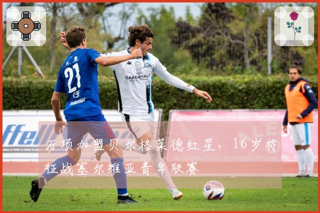 万项加盟贝尔格莱德红星，16岁将征战塞尔维亚青年联赛