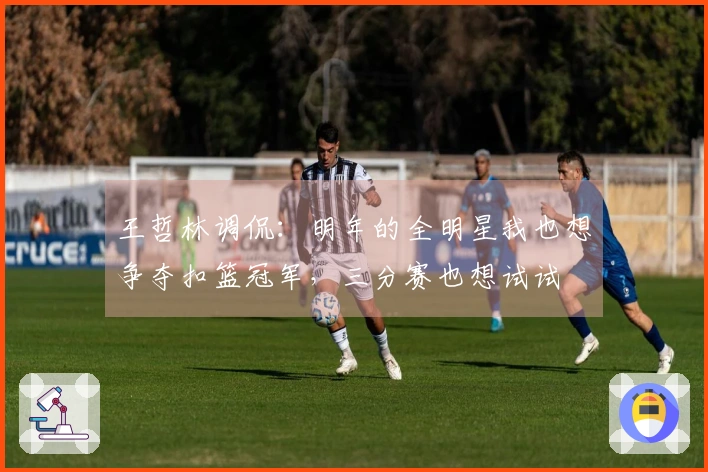 王哲林调侃：明年的全明星我也想争夺扣篮冠军，三分赛也想试试