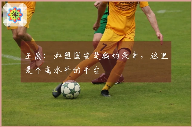 王禹：加盟国安是我的荣幸，这里是个高水平的平台